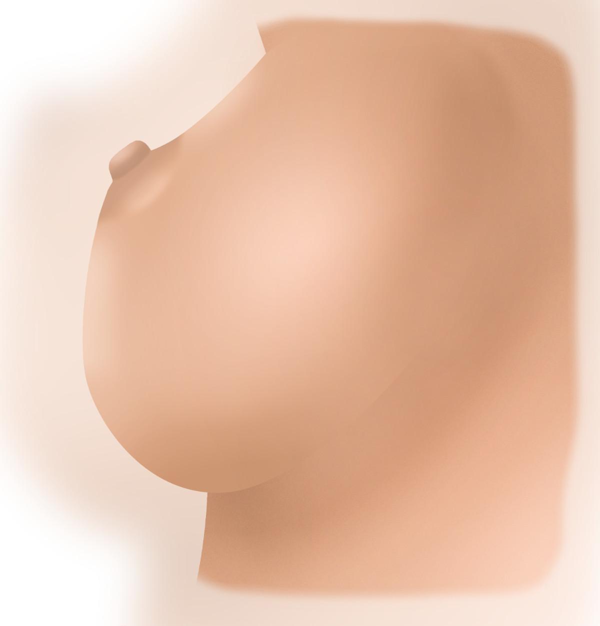 Female breast sonographic ultrasound image simulation Scanbooster